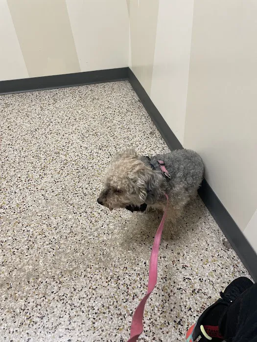 Vetco Total Care Animal Hospital 9