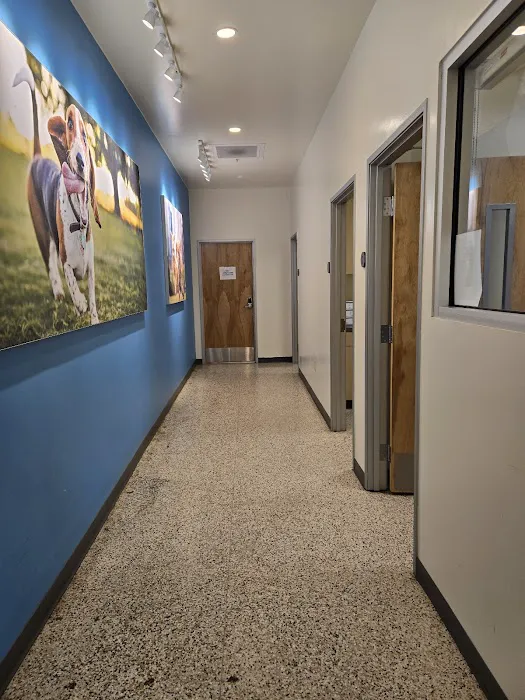 Vetco Total Care Animal Hospital 3