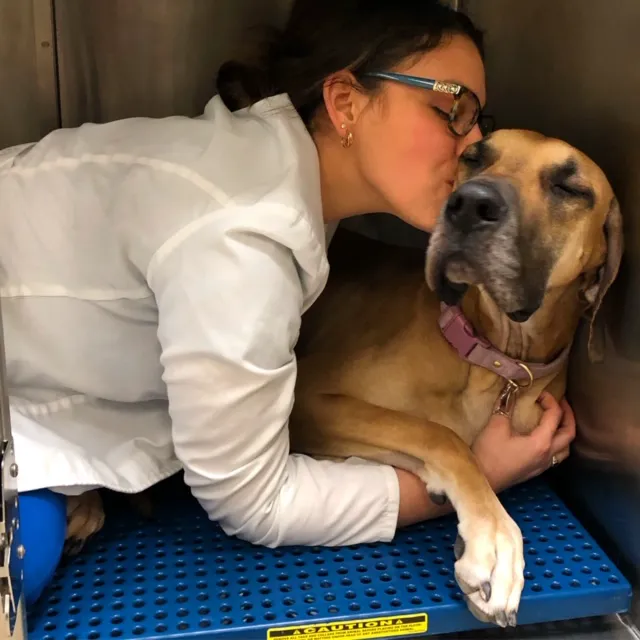 Vetco Total Care Animal Hospital 5