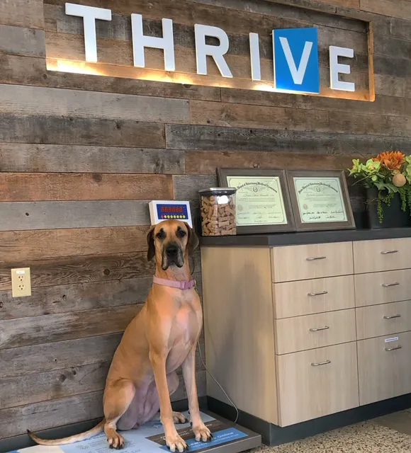 Vetco Total Care Animal Hospital 2