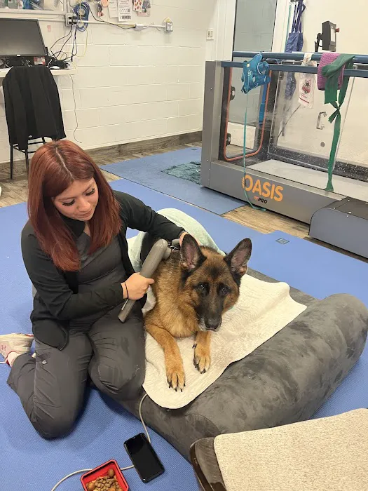 Central Houston Animal Hospital 4