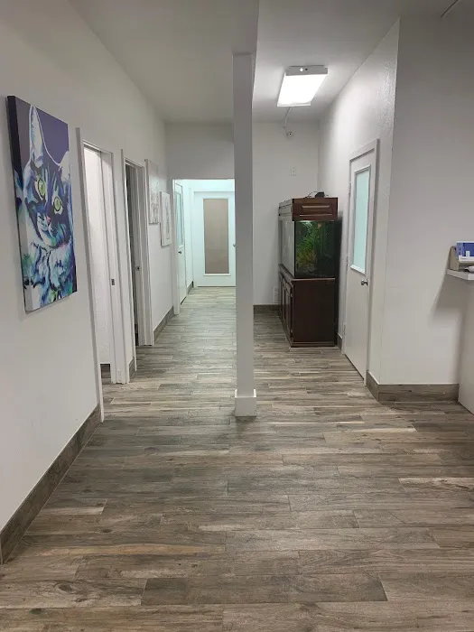 Central Houston Animal Hospital 7