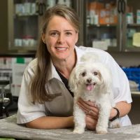 Central Houston Animal Hospital ico