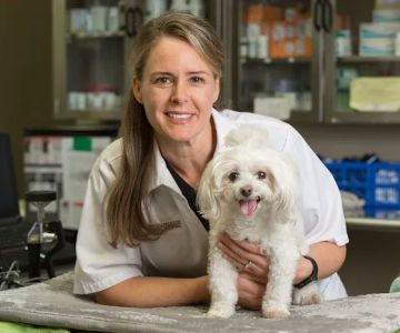 Central Houston Animal Hospital
