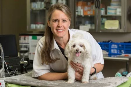 Central Houston Animal Hospital