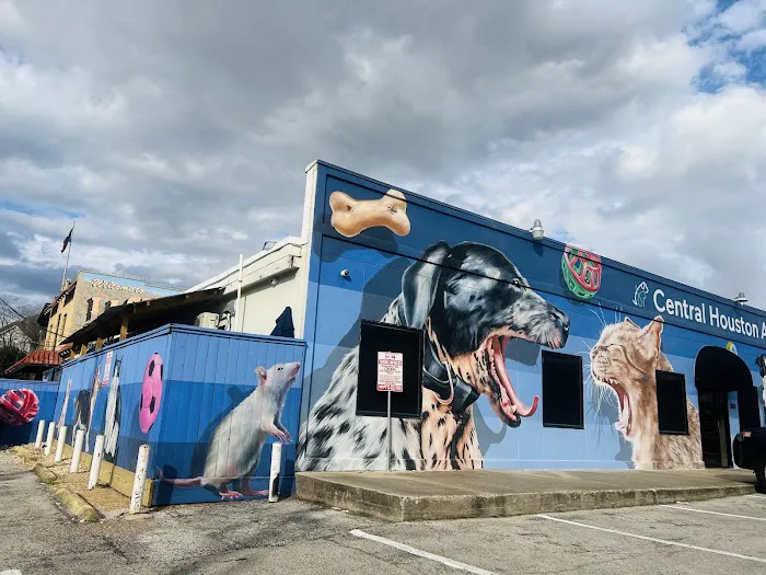 Central Houston Animal Hospital 3