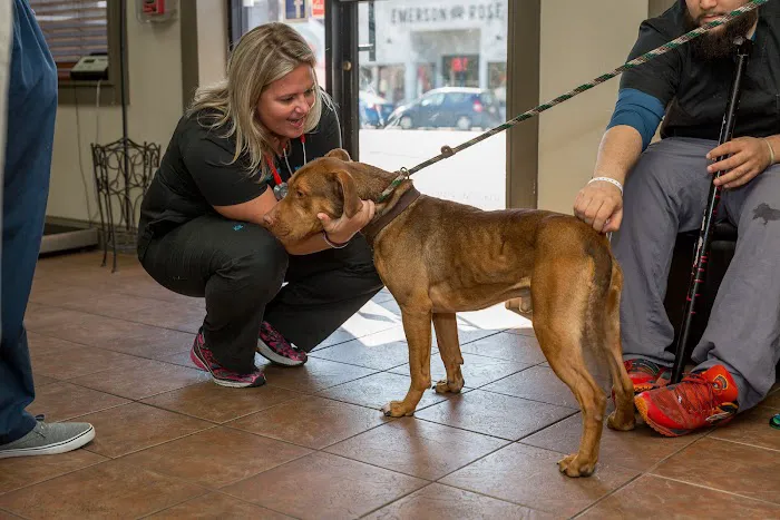 Central Houston Animal Hospital 2