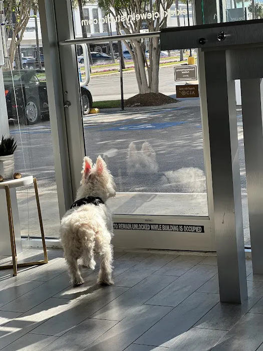 Banfield Pet Hospital 6
