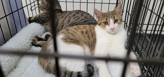 Banfield Pet Hospital 1