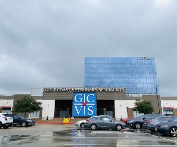 Gulf Coast Veterinary Specialists (GCVS)