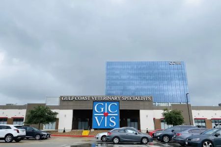 Gulf Coast Veterinary Specialists (GCVS)