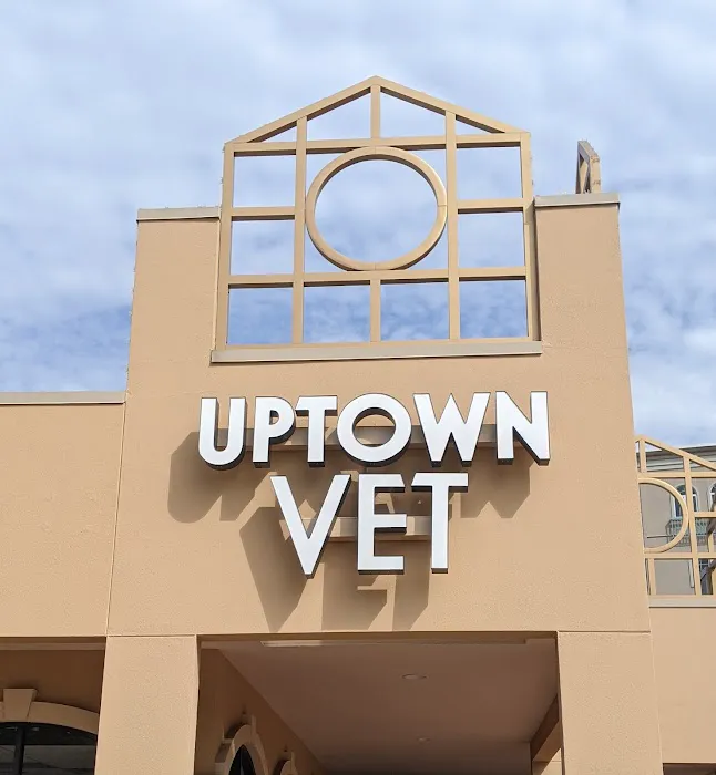 Uptown Veterinary Hospital- Dr. Tahl P. Rozycki 12
