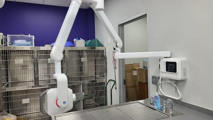 Uptown Veterinary Hospital- Dr. Tahl P. Rozycki 12