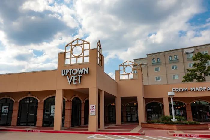 Uptown Veterinary Hospital- Dr. Tahl P. Rozycki 12