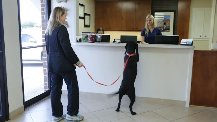 Village Veterinary Clinic 12