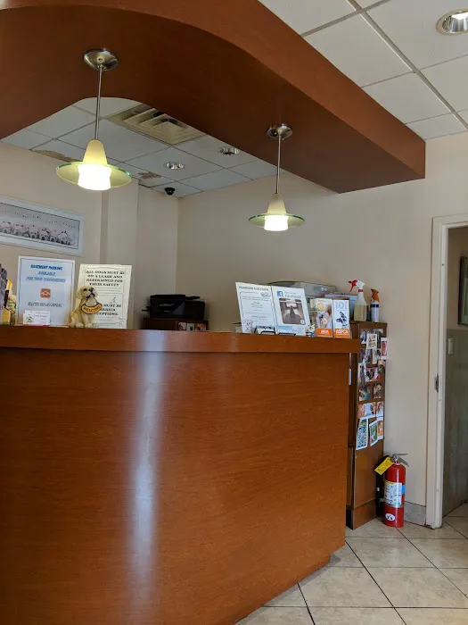 Little Neck Veterinary Clinic 12