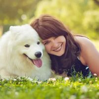 Animal Medicine and Surgery of Little Neck ico