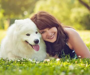 Animal Medicine and Surgery of Little Neck