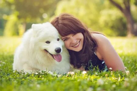 Animal Medicine and Surgery of Little Neck