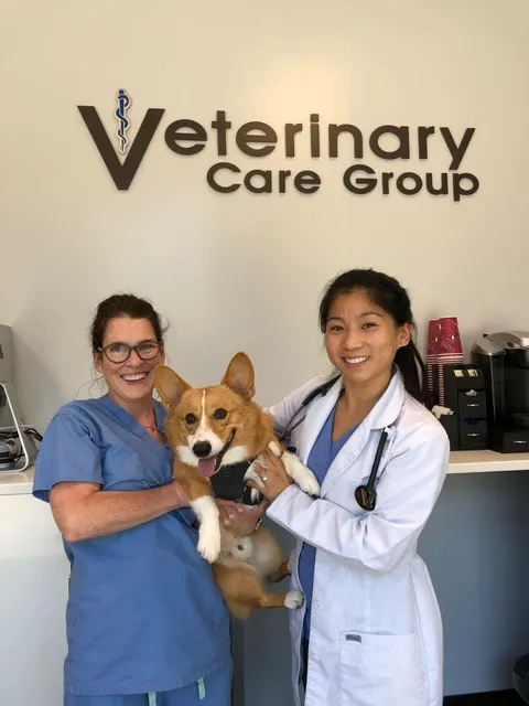 Veterinary Care Group - Little Neck 8