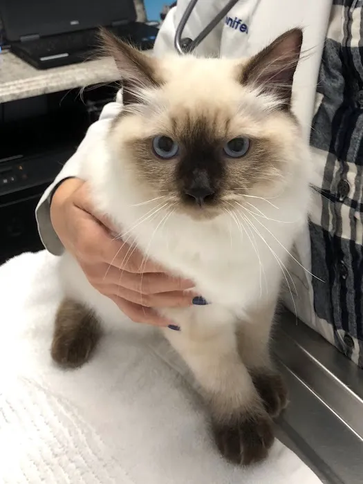 Veterinary Care Group - Little Neck 6