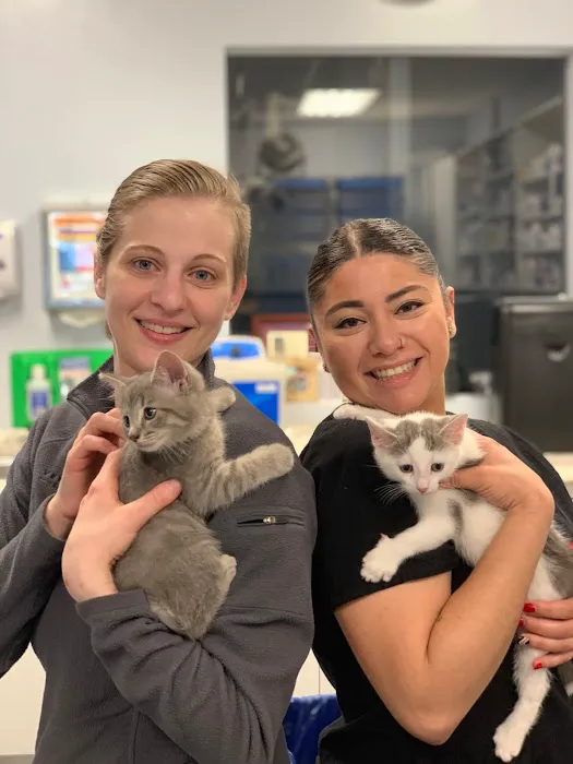 Veterinary Care Group - Little Neck 10
