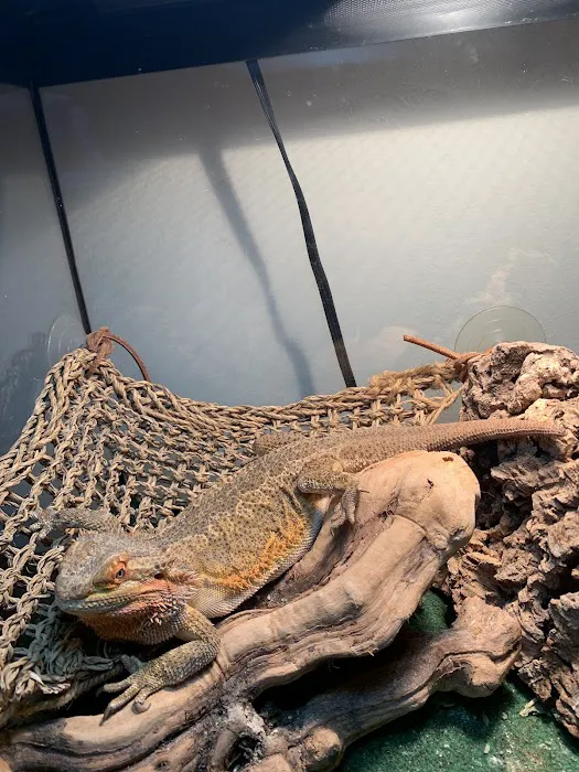 Long Island Bird & Exotics Veterinary Clinic 1
