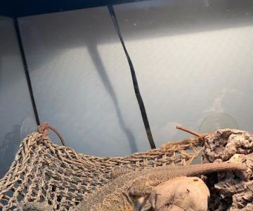 Long Island Bird & Exotics Veterinary Clinic