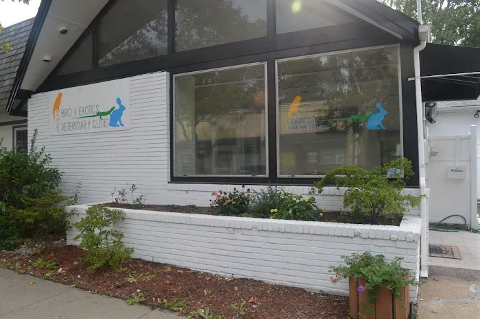 Long Island Bird & Exotics Veterinary Clinic 9