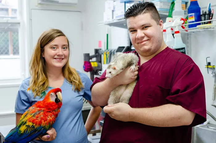 Long Island Bird & Exotics Veterinary Clinic 6