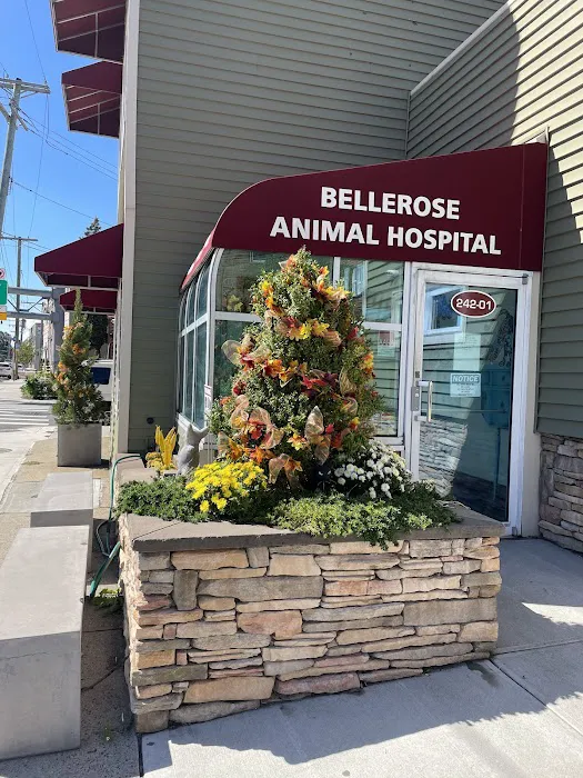 Bellerose Animal Hospital 7