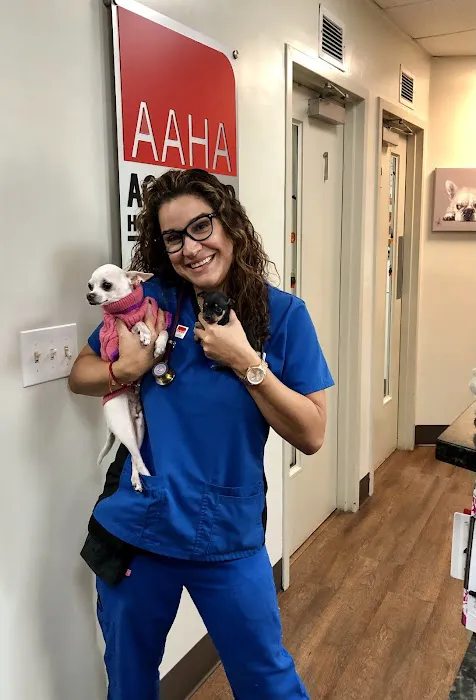 Bellerose Animal Hospital 8