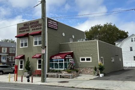 Bellerose Animal Hospital