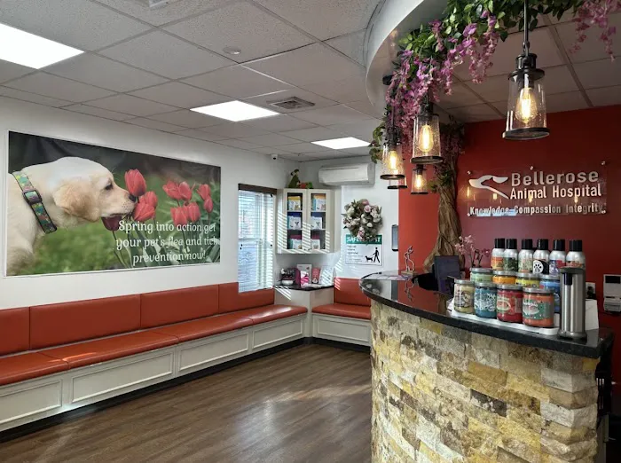 Bellerose Animal Hospital 6