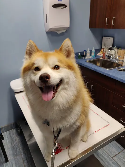 Veterinary Care Group - Glen Oaks 9