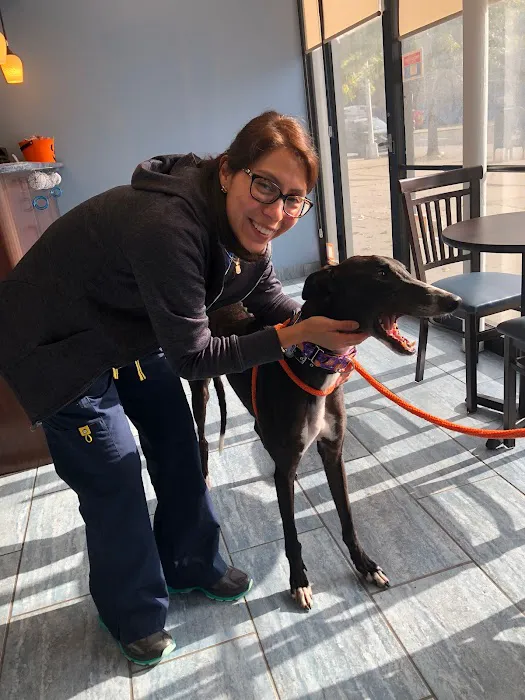 Veterinary Care Group - Glen Oaks 6