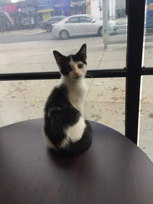Veterinary Care Group - Glen Oaks 3