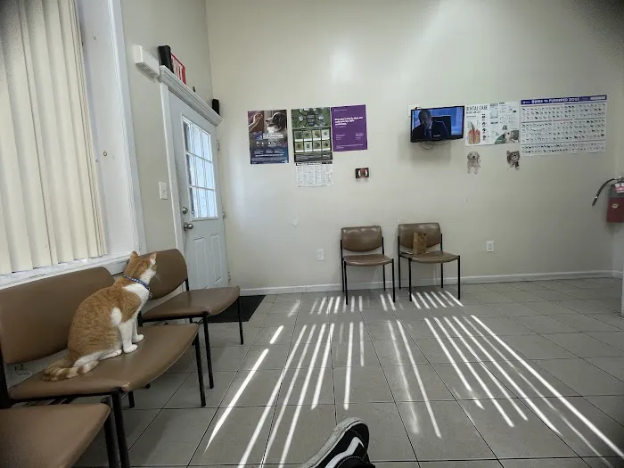 Richmond Hill Veterinary Care 6
