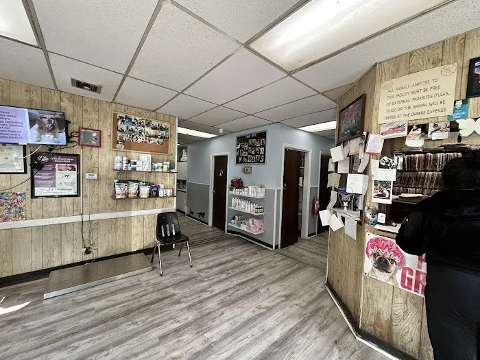 St Mina Animal Clinic 12