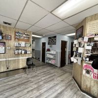 St Mina Animal Clinic ico