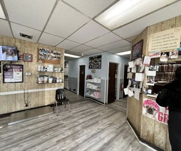 St Mina Animal Clinic