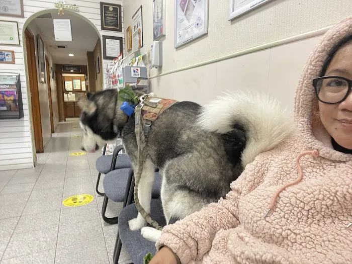 Liberty Animal Clinic 9