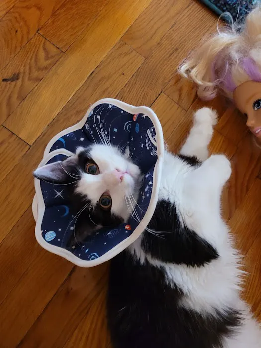 Liberty Animal Clinic 2