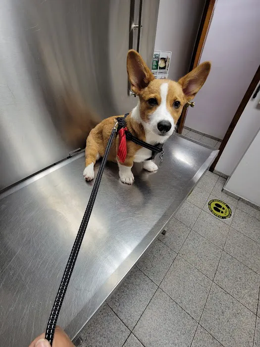 Liberty Animal Clinic 5