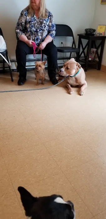 Ozone Park Animal Clinic 3