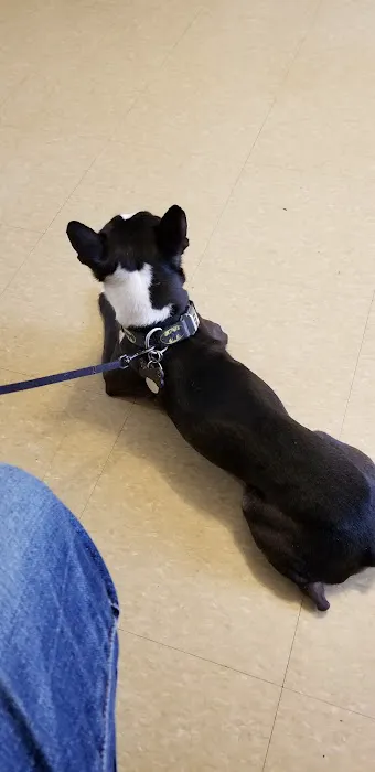 Ozone Park Animal Clinic 1