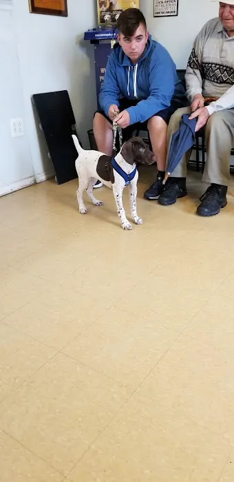 Ozone Park Animal Clinic 6