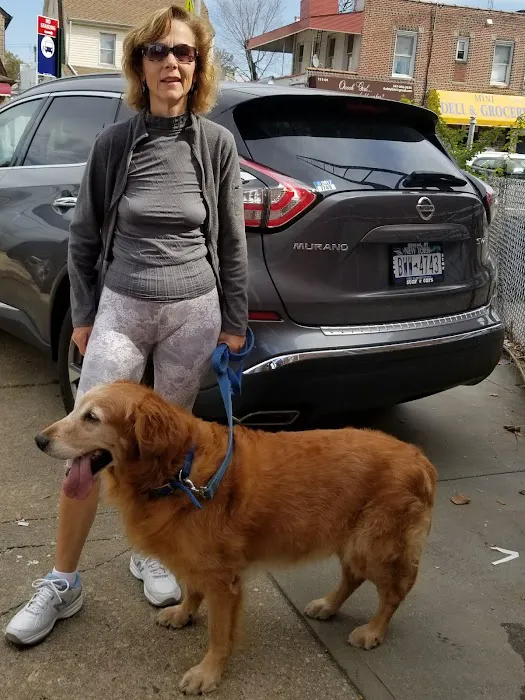 Ozone Park Animal Clinic 10