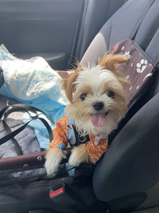 Vetco Vaccination Clinic 6