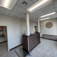 IAC Urgent Vets - Bronx ico
